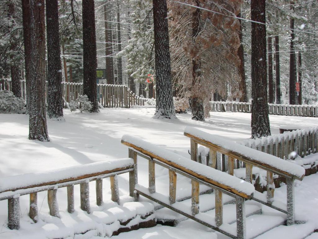 Heavenly Valley Lodge South Lake Tahoe Bagian luar foto