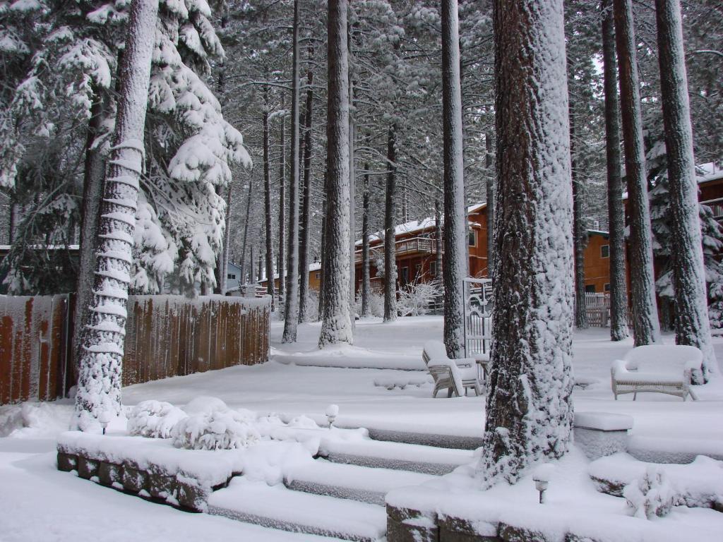 Heavenly Valley Lodge South Lake Tahoe Bagian luar foto